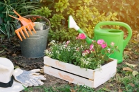 7 Tips voor de tuin en het terras