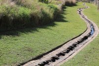 Waarom een wadi je tuin klimaatbestendig maakt